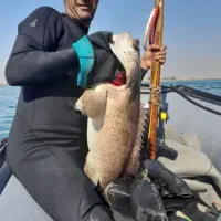 نیزه شیاری و شارکی غواصی