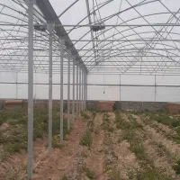 گلخانه سازی|خدمات پیشه و مهارت|تهران, شهرک صادقیه|دیوار