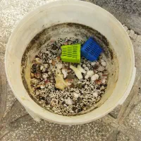 شن آکواریوم|ماهی|قوچان, |دیوار