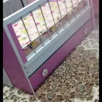 تختخواب کودک زیر 4 سال|تشک تختخواب|ساری, |دیوار