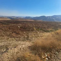 فروش زمین جهت طرحهای تولیدی  وکاشت باغ بادام وغیره