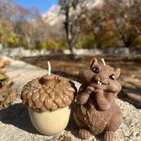 شمع سنجاب و بلوط