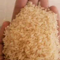 برنج کامفیروزی اصل ( حتما بخونید )|خوردنی و آشامیدنی|شیراز, دوکوهک|دیوار