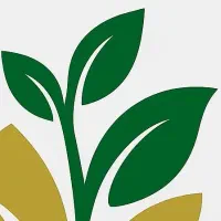 استخدام مترجم عربی خانم