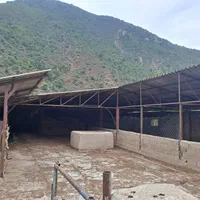 زمین باغی و دامداری مجوز دار