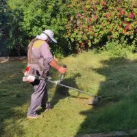 کار چمن زنی انجام میدم