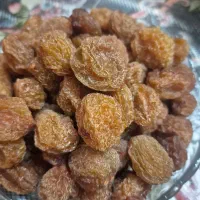 فروش الو خورشتی
