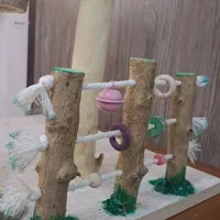 درخت پرندگان|لوازم جانبی حیوانات|مشهد, نیروی هوایی|دیوار