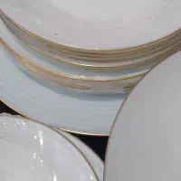 سرویس آرکوپال لب طلا