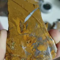 سنگ شجر طبیعی