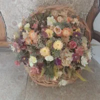 پلوپز وگل|سایر لوازم برقی|خوی, |دیوار