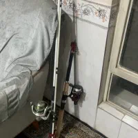 دو عدد لنسر تو پر ۳ متری درحد