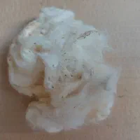 پنبه کاملا خالص و طبیعی