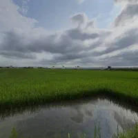 کلبه-سوئیسی-اقساطی-متری-18تومان