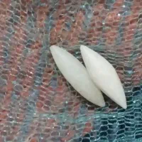 مهره|کلکسیون اشیاء عتیقه|فولادشهر, C4|دیوار