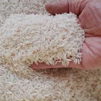 ۱۰کیلوبرنج هاشمی یکدست