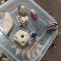 مهره های قدیمی|کلکسیون اشیاء عتیقه|گنبد کاووس, |دیوار