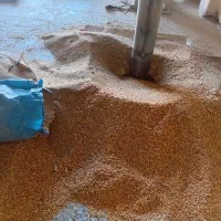 خوراک دام پرواری|لوازم جانبی حیوانات|تیران, |دیوار