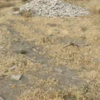 ۲۰۰ متر زمین مسکونی