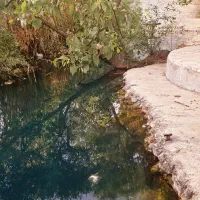 اجاره روزانه/هفتگی/ماهانه ویلا ۴۰۰۰ متری|اجارهٔ کوتاه‌مدت ویلا و باغ|کازرون, |دیوار