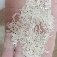 برنج دوقلبیر طارم فجر