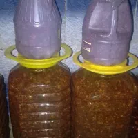 ترشی|خوردنی و آشامیدنی|مزرعه کتول, |دیوار
