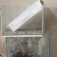 اکواریوم