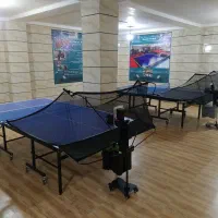 آموزش حرفه ای تکنیک های پینگ پنگ|خدمات آموزشی|کرج, اسلام‌آباد|دیوار