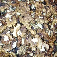 مغز گردو و گردو|خوردنی و آشامیدنی|محمدیه-قزوین, |دیوار