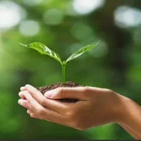 ترک اعتیاد / درمان سو مصرف مواد / سرم تراپی|خدمات آرایشگری و زیبایی|کرمانشاه, |دیوار