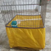 قفس بزرگ عروس هلندی 1032