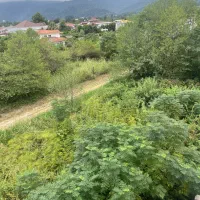 زمین-دونبش-قواره-کوچیک