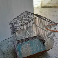 قفس پرنده