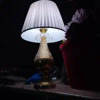 شب خواب شیک و نو