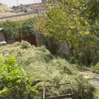 یونجه چیده شده