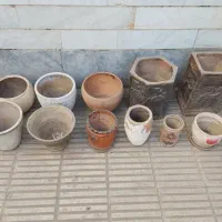 گلدان سفالی سالم|گل و گیاه طبیعی|تهران, افسریه شمالی|دیوار