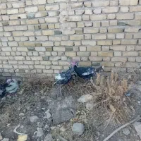 چندعددبقلمو وغاز به فروش میرسد