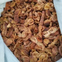 برگه زردالو