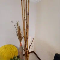 حراج اسباب اساسیه