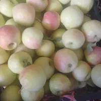 سیب|خوردنی و آشامیدنی|خمین, |دیوار