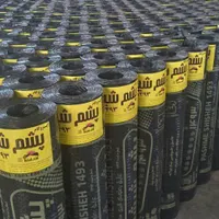 ایزوگام