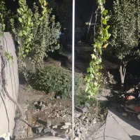 کارگر ماهر به جوشکاری وبنایی ونظافت باحقوق30میلیون