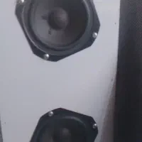 باند سونی