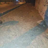 ۳ نیسان کود گوسفند و اسب رایگان هرکی خواست درخدمتم|خدمات باغبانی و درختکاری|مشکین‌دشت, |دیوار