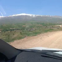 جویای کار