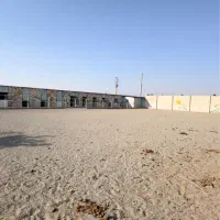 پانسیون اسب ملارد|اسب و تجهیزات اسب‌سواری|تهران, چیتگر شمالی|دیوار