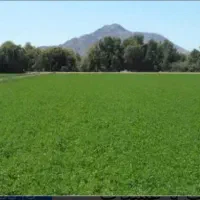 فروش پونصد متر زمین