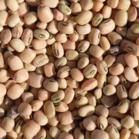 لوبیا آشی (محلی) 170