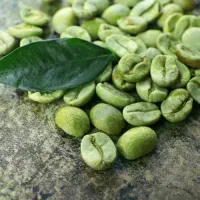 دان سبز قهوه