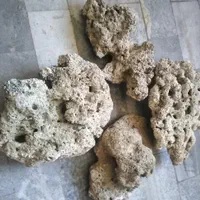 صخره مرجانی تصفیه شده مرده و نمک ابشور